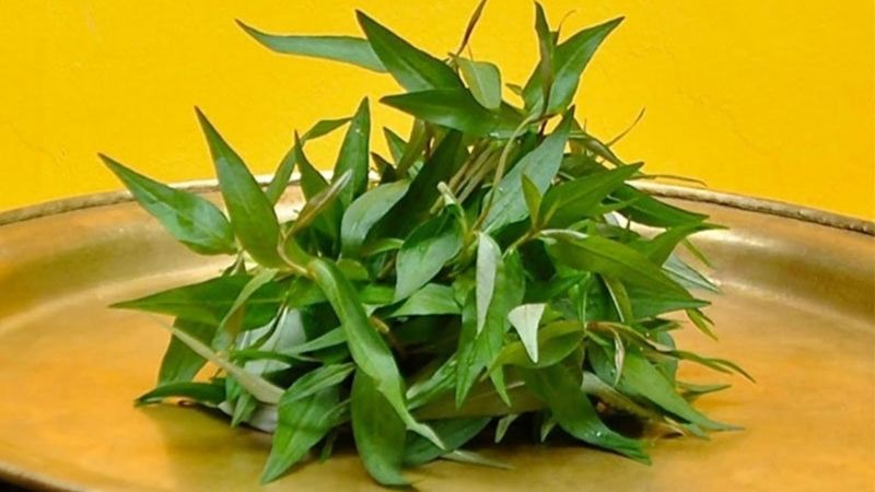 Tránh rau quá hăng, mùi nặng hoặc tính lạnh mạnh như rau dền, rau răm, tía tô, rau má Tránh rau quá hăng, mùi nặng hoặc tính lạnh mạnh như rau dền, rau răm, tía tô, rau má