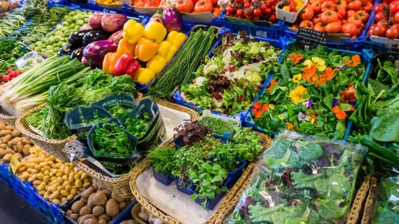 Chọn rau giòn, ít mùi hăng và cân bằng tính hàn, nhiệt Chọn rau giòn, ít mùi hăng và cân bằng tính hàn, nhiệt