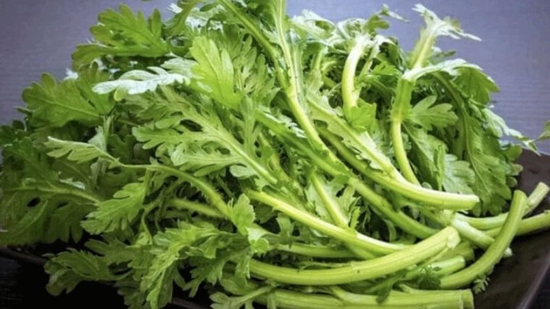 Rau cải cúc Rau cải cúc