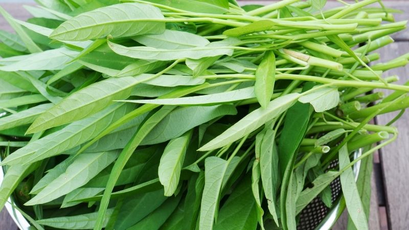 Rau muống Rau muống