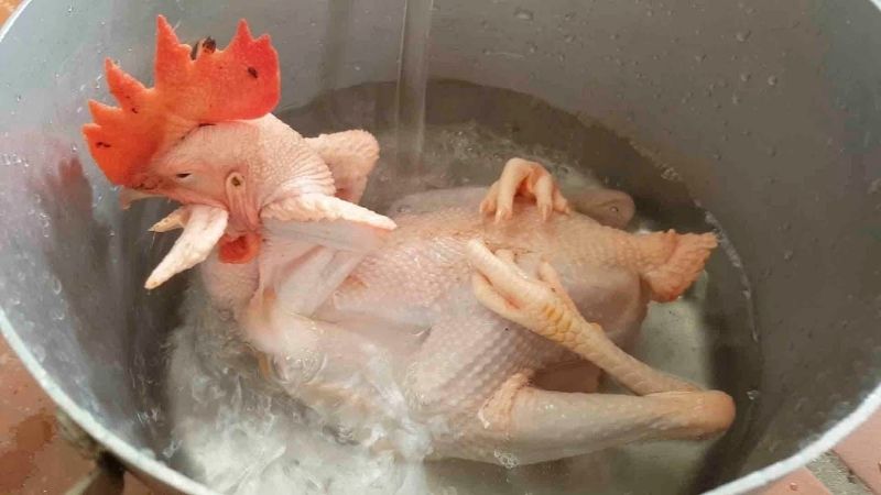 Chọn nồi đủ lớn để gà nằm thoải mái và nước ngập toàn bộ thân gà Chọn nồi đủ lớn để gà nằm thoải mái và nước ngập toàn bộ thân gà