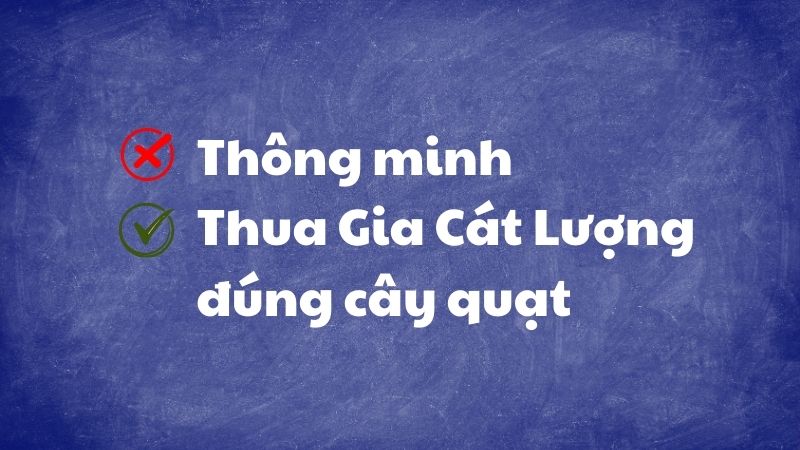 Thua Gia Cát Lượng đúng cây quạt Thua Gia Cát Lượng đúng cây quạt