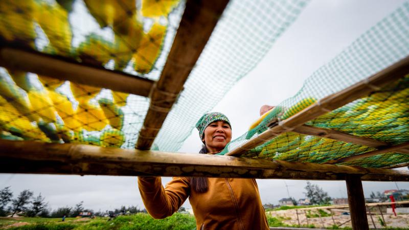 Khoai deo Quảng Bình giá bao nhiêu?