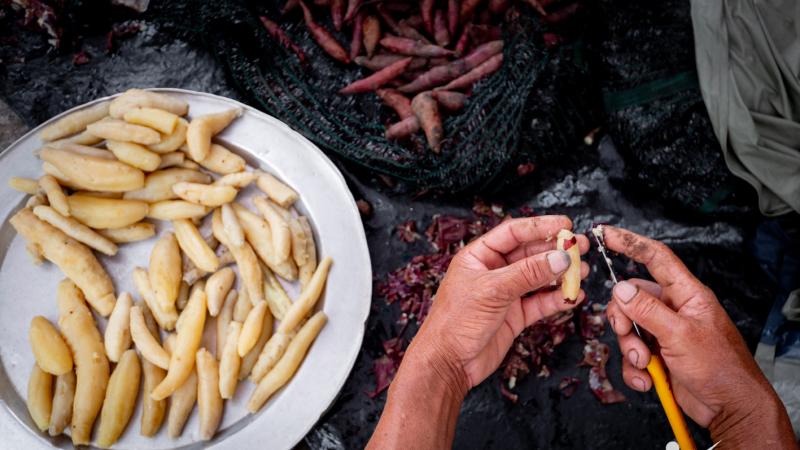 Sơ chế và ủ khoai