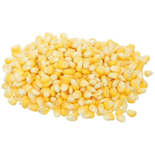 Bắp Mỹ tách hạt