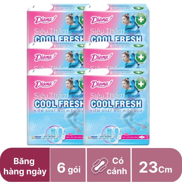 Lốc 6 gói băng ban ngày Diana siêu thấm 23cm