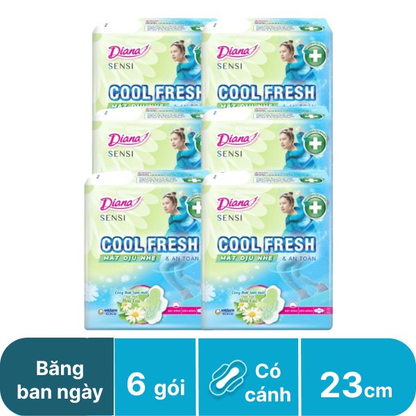 Lốc 6 gói băng ban ngày Diana Sensi Cool 23cm