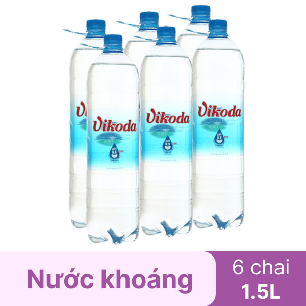 Lốc 6 Chai