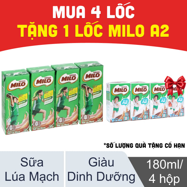Lốc 4 Hộp