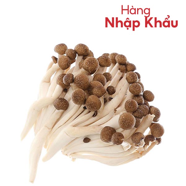 Nấm linh chi nâu nội địa Trung