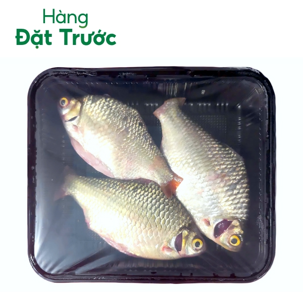 Cá he làm sạch 3 - 4 con