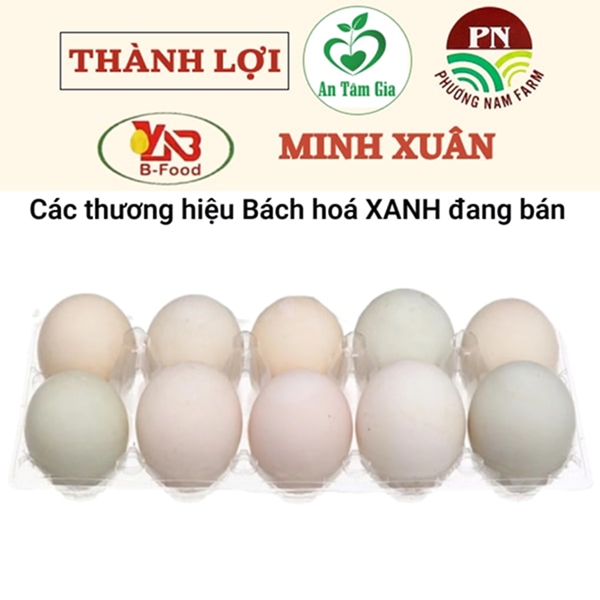 Trứng vịt hộp 10 quả (giao ngẫu nhiên thương hiệu)