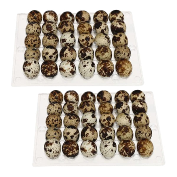 2 hộp trứng cút hộp 30 quả