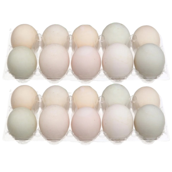 2 hộp trứng vịt hộp 10 quả