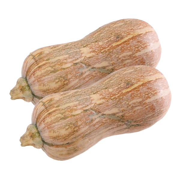 Bí đỏ hồ lô