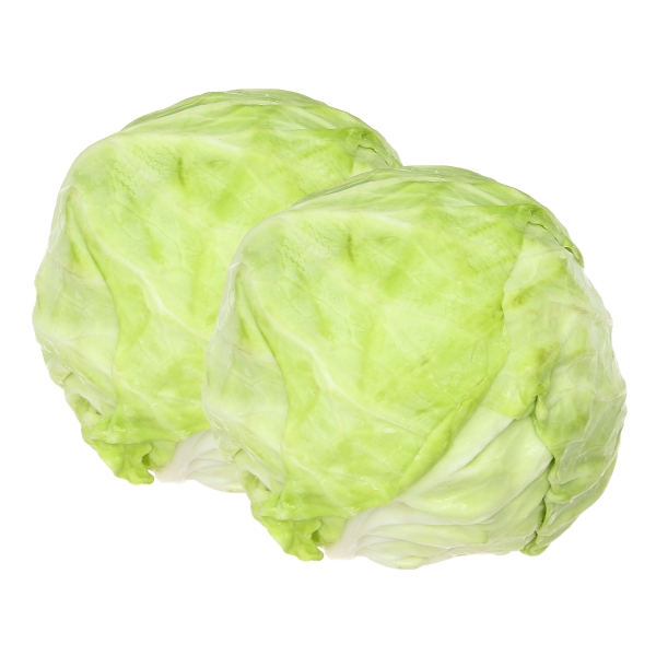 Bắp cải trắng