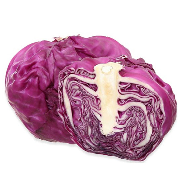 Bắp cải tím