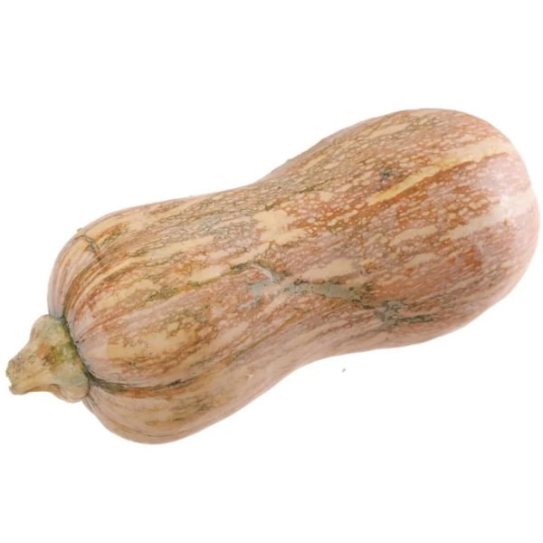 Bí đỏ hồ lô trái trung