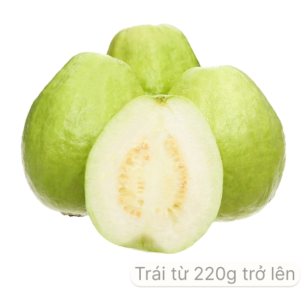 Ổi Đài Loan