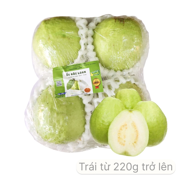 Ổi Đài Loan
