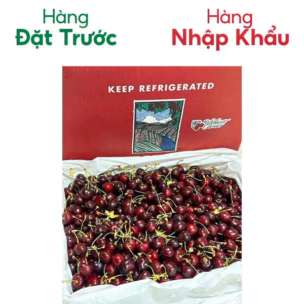Thùng Cherry nhập khẩu mỹ