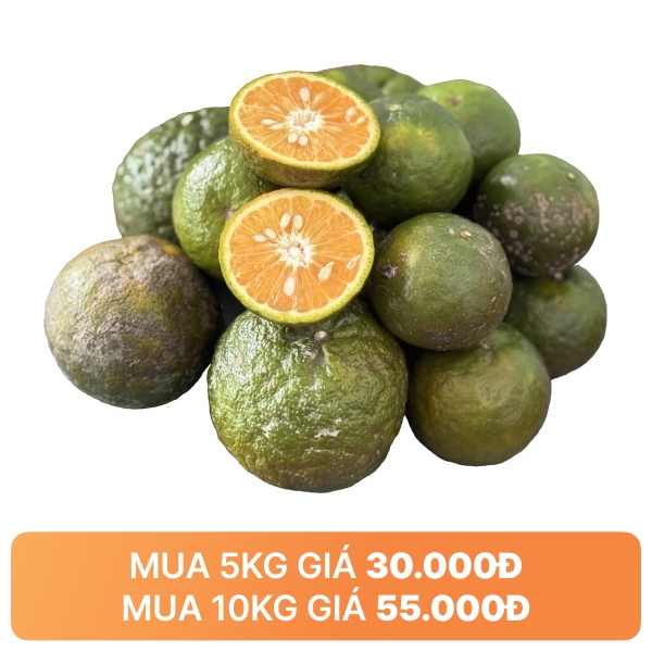 Cam sành vắt nước