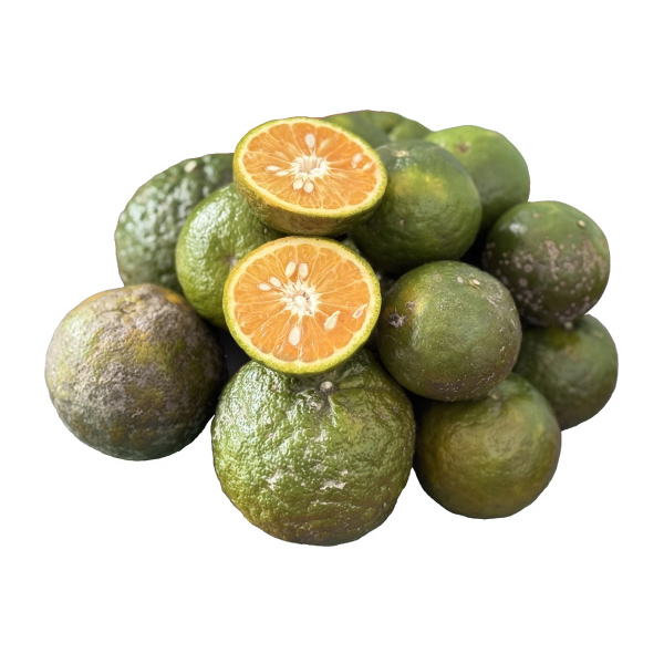 Cam sành vắt nước