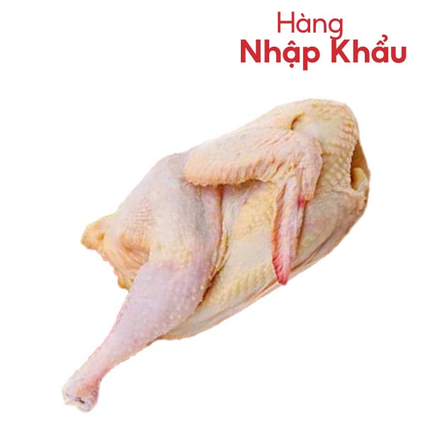 Gà dai nhập khẩu