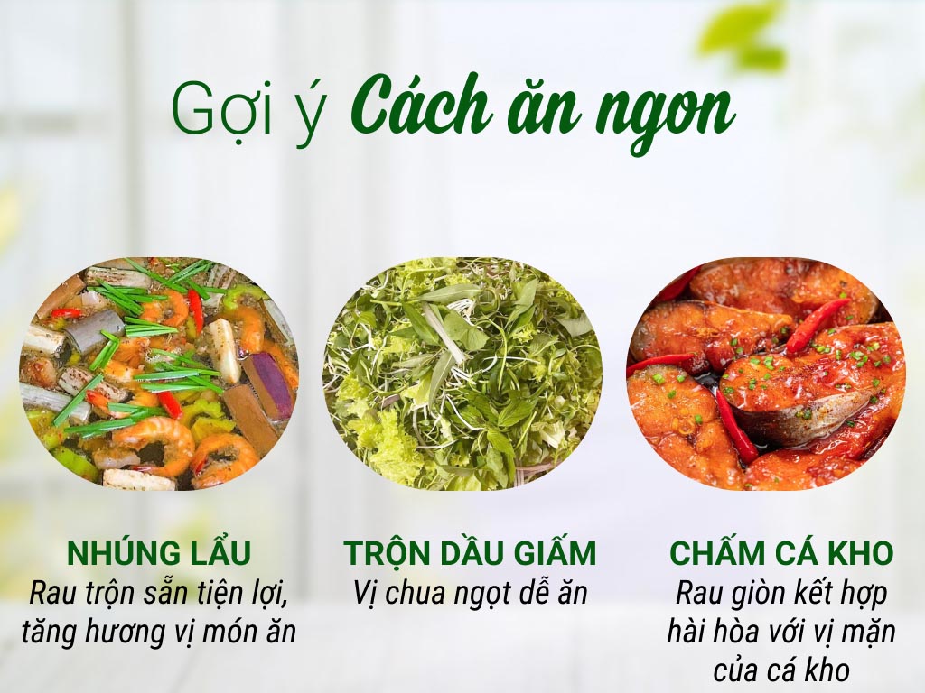 Rau sống thập vị tươi ngon, giá cả cực tốt tại Bách hoá XANH