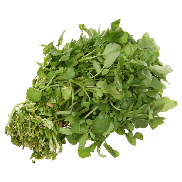 xa-lach-xoong-da-lat-bo-500g_202504151604022074.jpg (600×600)