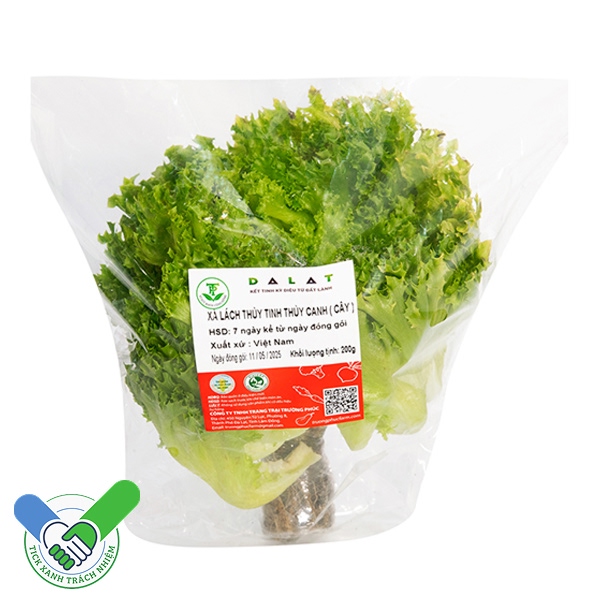 Xà lách thủy tinh thủy canh