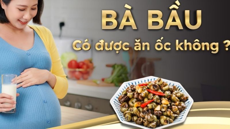 Bà bầu ăn ốc được không? Giải đáp từ chuyên gia sản khoa