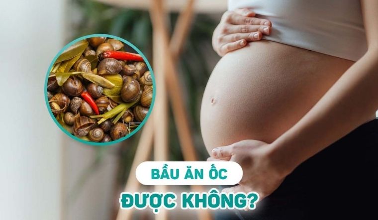 Bà bầu ăn ốc được không? Chuyên gia giải đáp chi tiết A-Z