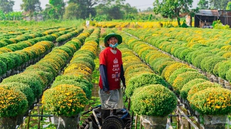 Làng hoa ngoại thành Sài Gòn