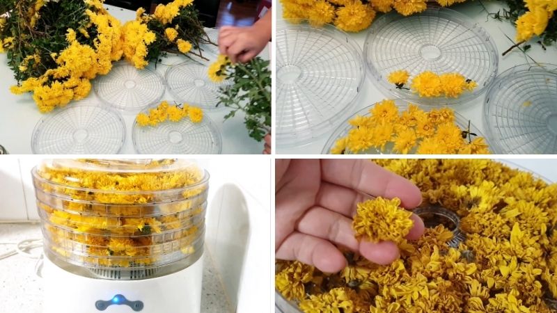 Sấy hoặc phơi khô hoa