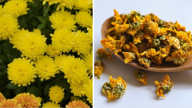 Sơ chế nguyên liệu