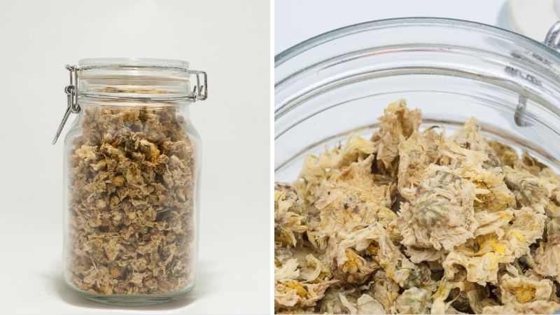 Kiểm tra và bảo quản