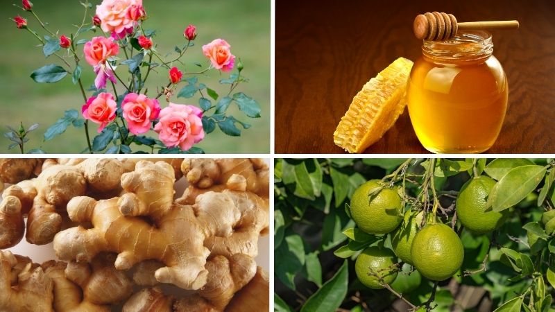 Nguyên liệu làm trà hoa hồng