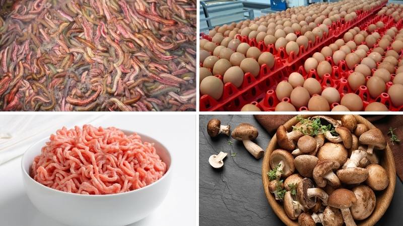 Nguyên liệu làm nem rươi