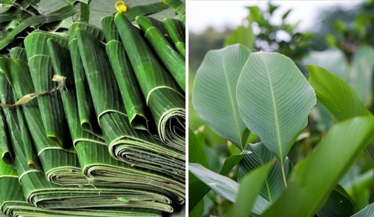 Cách gói bánh chưng không cần khuôn đẹp vuông vức, không bị lệch