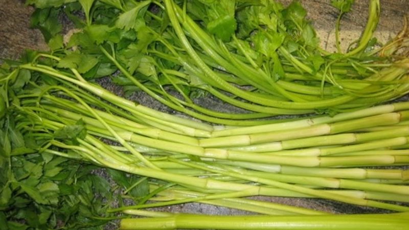 Rau cần đước Rau cần đước