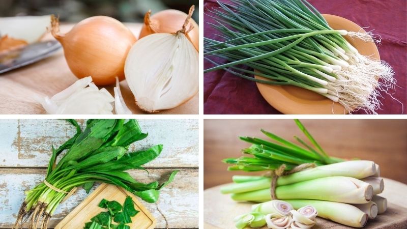 Những loại rau tạo mùi thơm Những loại rau tạo mùi thơm