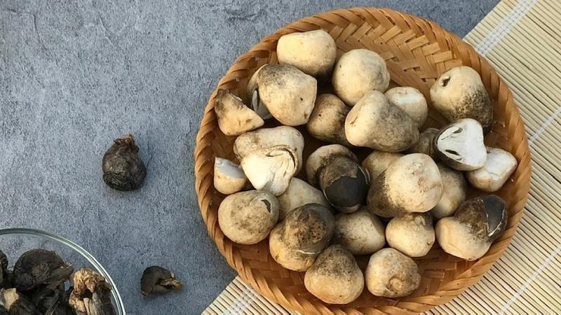 Nấm rơm Nấm rơm