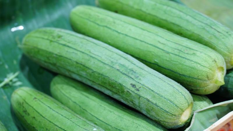 Mướp hương Mướp hương