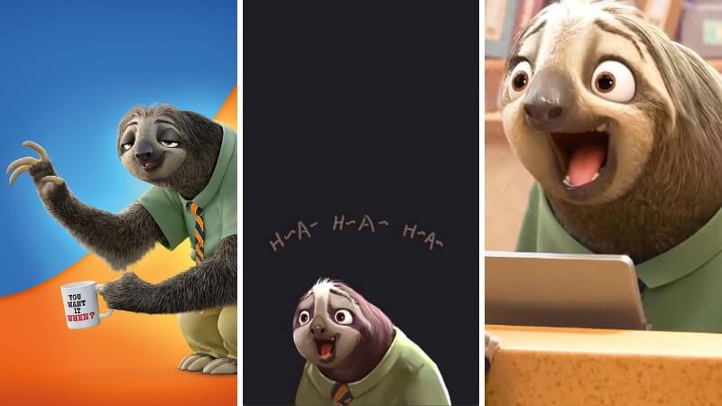 Hình nền Flash (con lười) hài hước 1 Hình nền Flash (con lười) hài hước 1