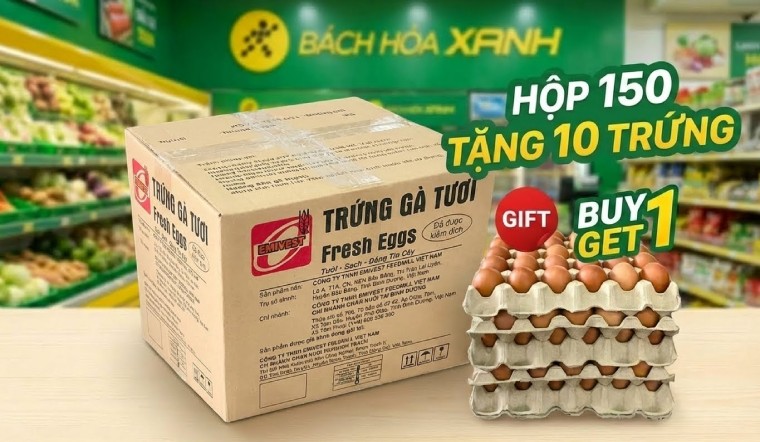 Chốt đơn trứng gà giá sỉ tại Bách hóa XANH - Mua 150 tặng 10