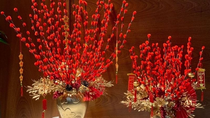 Nụ tầm xuân đỏ Nụ tầm xuân đỏ