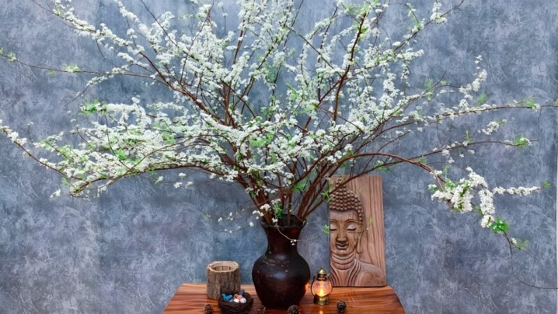 Hoa tuyết mai (Tuyết mai rừng) Hoa tuyết mai (Tuyết mai rừng)