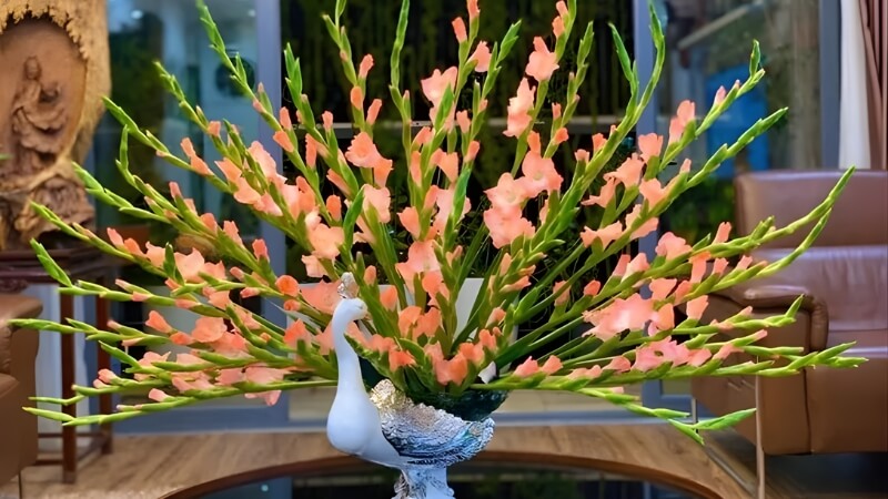 Hoa lay ơn (Huệ ta) Hoa lay ơn (Huệ ta)