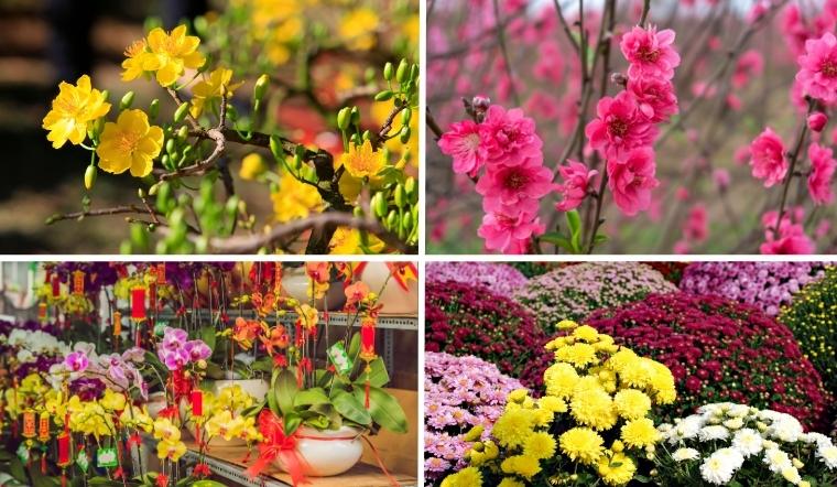 Top 15+ loài hoa chưng Tết đẹp, hút tài lộc & xu hướng mới nhất
